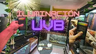 ILUMINACION UVB