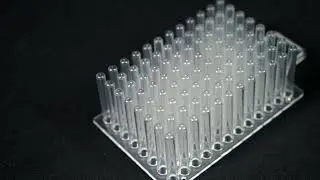 15mL And 50mL Conical Sterile Polypropylene Centrifuge Tubes