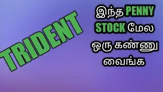 TRIDENT STOCK ANALYSIS in Tamil / சிறந்த multibegar  பங்கு
