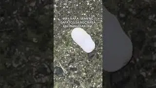kawawa naman umuwi isa nalang sapatos ng dwende #fyp