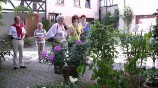 Bad Wimpfen