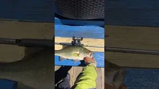Cold Fall Night = Big Bass. 5lb Lake Hamilton Largemouth on a Tube Bait
