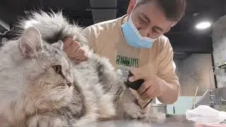 EP 2 LIFE OF A PET-GROOMER|DRY CLEANING||NHATO The Explorer