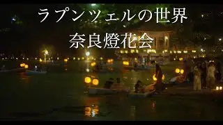 ラプンツェルの世界　奈良燈花会　BMPCC4K SUPERNOKTON
