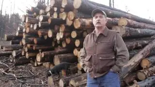 Harvest of wildfire-charred timber fraught with problems for private landowners