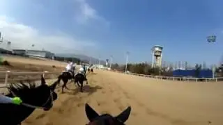 렛츠런파크 - VR 경마 체험 #2