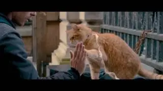 Bob, der Streuner | Trailer