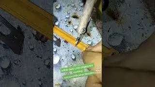 infinix zero x neo ringers not working solutions#Bukhari_Mobile