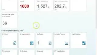 SAP CRM Customer Reports on Fiori based on Hana Live