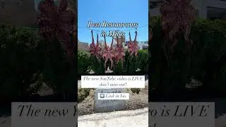 Best Restaurants in Milos &ndash; New Video is LIVE! #Shorts #milos #milosisland #greekfood  #greekislands
