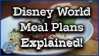 Disney World Dining Plans Explained! Is it Worth It? Dinning Budget & Dinning Tips & Dining Hacks!