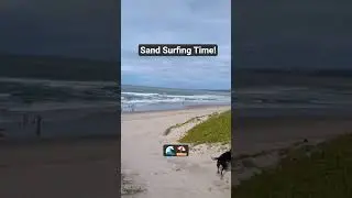 Surf Beach California-Sand Surfing #surf #countrymusic #deer #iowa #subscribe #california #jesus
