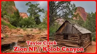 Zion NP / Kolob Canyon: Taylor Creek
