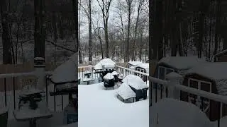 This is for the birds welcome to NY where anything goes #snow storm it just stopped