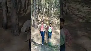 #bollywood #wildlife #wild #youtubeshorts #shorts @youtube @adiirani