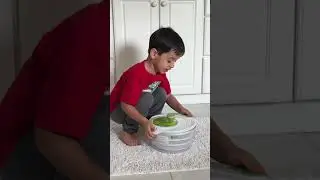 Independent Play Idea!
