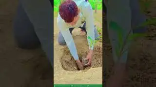 JOIN BHUMI FOUNDATION TRUST | SAVE EARTH | PLANT TREE
