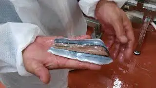 VMK42 Roller Skinning Machine