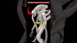 Why Does Albino Xenomorphs Have a Long Pink Tongue? #Shorts #Viral