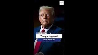 Former US ambassador: Trump acting amid court pressure