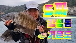 거문도 5짜감성돔 #바다낚시#거문도5짜감성돔#거문도갯바위#감성돔낚시#갯바위낚시#거문도동도특급포인트#fishing#black porgy#black sea bream#クロダイ#黑棘鲷