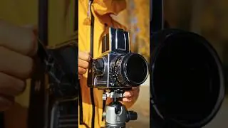 Timeless Elegance 🌿 Capturing Nature&rsquo;s Beauty with Hasselblad