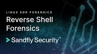 Linux EDR Reverse Shell Detection, Investigation, and Forensics