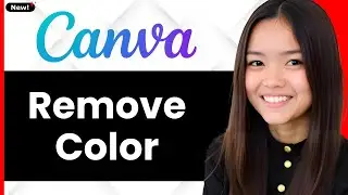 How To Remove Color From Images In Canva 2026 (Step By Step)