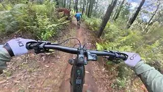 Silvan Mountain Bike Park, Bottle Caps run