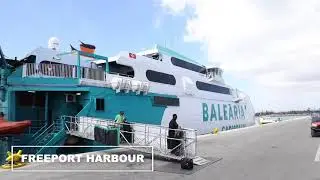 Baleria 1 day Cruise