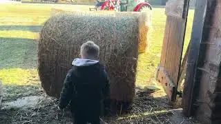 Strong little farmer. Clearing the straw shed today while the ground is hard 🥶 