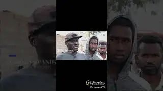 ini baru pemimpin joz 🥰qadafi libya