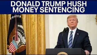 LIVE: Donald Trump sentencing for Stormy Daniels hush money case