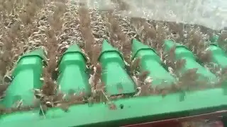 Supercrop&trade; Header - Compilation