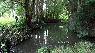 Open2view AU - ID# 739850 - 480 Smiths Creek Road, Uki