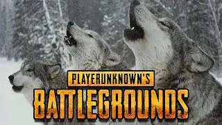 WOLVES NOT FAR - PLAYER UNKNOWN'S BATTLEGROUNDS