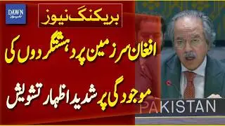 Pakistan Serious Concerns Over Terrorist Presence in Afghanistan | Breaking News | Dawn News