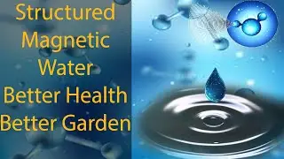 Amazing Benefits of Drinking Magnetized Water