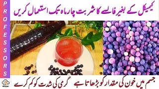 Falsa Sharbat By Professor's Foods | فالسہ شربت گھر میں بنائیں | Falsa Juice Recipe | Falsa Squash