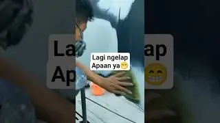 Pakai Pernis Daltone MS 4100 untuk Full Body‼️ #otomotif #clearcoatrepair #bodyrepaint