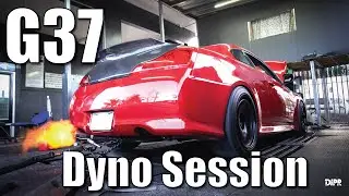Infiniti G37 Dyno: самый мощный VQ37 в Пуэрто-Рико | DIPR Vlogs