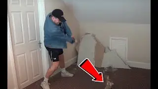 How to Make A Cup of Tea: The TGF Way