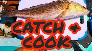 Catch & Cook REDFISH TACOS! EASY RECIPE How to make