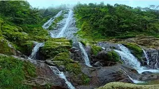 Soothing Wicklow Waterfall 🌿 Gentle Stream & Distant Birds &mdash; Deep Relaxation & Focus | Ireland