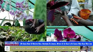 20 Snem Kum U Muster Roll Hapdeng Ki Jingeh, Mynta U Ai Kam ïa Ki Samla Wad Kam Wad Jam