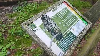 Vulture & Owls 🦉 at Ross Park Zoo Binghamton NY