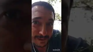 eclosi&oacute;n de rebozuelos, a montones 2022