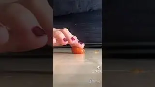 🍅ASMR crushing #asmr #pies #feet