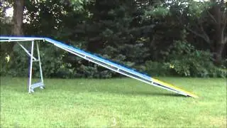 Reggie 08-15-2011 Slow Motion