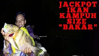 STRIKE IKAN KAMPUH(MAORI SNAPPER)SIZE MAMA SUKA‼️SPOT LAMA TIDAK DIKUNJUNGI || Bolang Ndeso